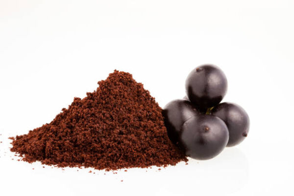 El corozo también es conocido por el nombre scheelea preussi buret, que hace referencia a una género botánico de palmas solitarias. La palma o árbol de corozo es una planta silvestre de clima cálido que comúnmente florece en la época de verano. Llega a alcanzar los 50 pies de altura, con un tronco espinoso hasta de 1 pie de diámetro cerca de la base.